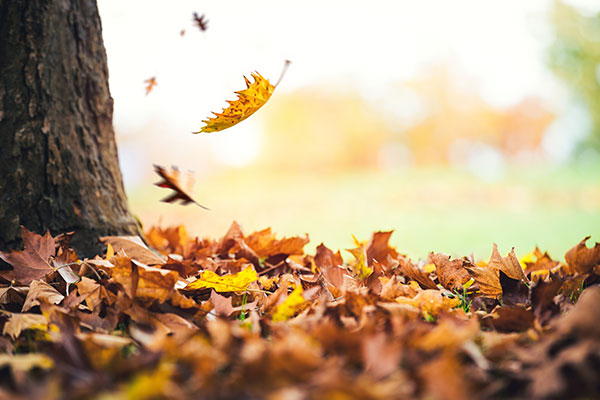 Ways to give yourself a boost in the West Mids this World Mental Health Day